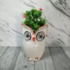 Owl Indoor Ceramic Planters Pot - 3093
