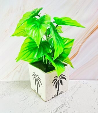 Leaf Design Square Shape Ceramic Pot is a beautiful pot for your plants. It is made of ceramic and has a leaf design.