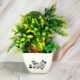 leaf-white-square-ceramic-pot-AA7218