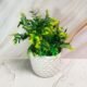 dotted-round-ceramic-planter-pot-AA7214