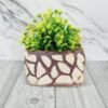 Choker Ceramic Indoor Planters Pot
