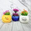 Ceramic Smile Emoji Indoor Planters pot