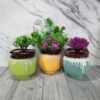 Flue Handi Ceramic Planters Pot