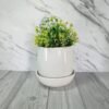 New White Pot Planter with plate