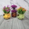Don Multicolor Indoor Planters Pot