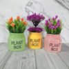 Plant Box Indoor Multicolor Planters Pot