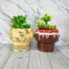 Flower Shape Ceramic Planters Pot
