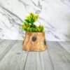 Tree Shape Ceramic Planter Pot