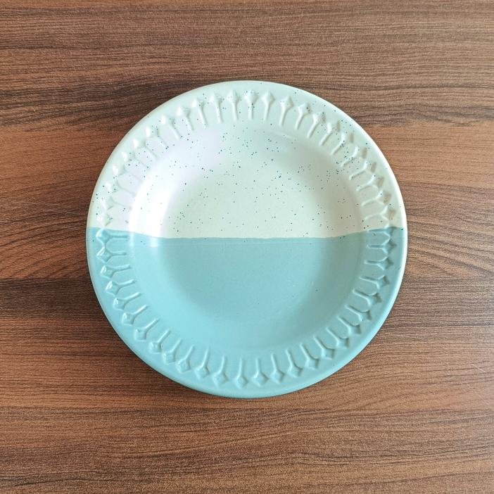 Dual Color Elegant Food Serving Ceramic Plates - DM1034