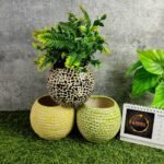 RD Glaze Ball Shape Khurja Ceramic Indoor Pots - KC3011