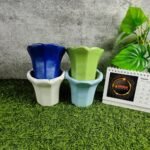 Khurja Pottery Indoor Ceramic Succulent Planters - KC3026