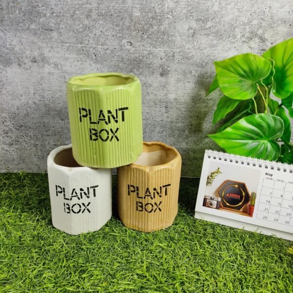 Khurja Pottery Indoor Ceramic Plant Box Pot - KC3111