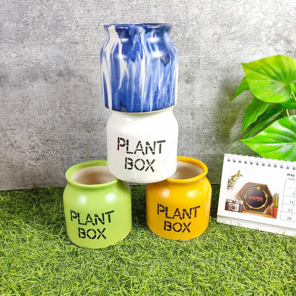 Stylish Khurja Pottery Succulent Ceramic Plant Box - KC3136