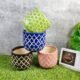 Ceramic Pots - Wholesale Planters for Stylish Plant Decor - KC3287