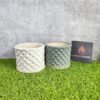 Diamond Cut Pipe Shape Khurja Ceramic Pots - KC3299