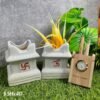 Khurja Pottery Indoor Tulsi Ceramic Planters Pot-3389