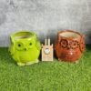 Buy Owl Design Khurja Pottery Ceramic Planters Online