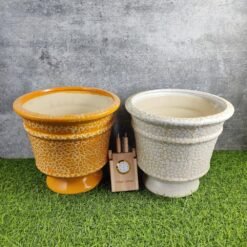 Unique Trophy Shape Khurja Pottery Ceramic Planters Pot