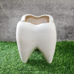 Teeth Shape Khurja Ceramic Planter Pots - KC1330
