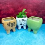 khurja-pottery-ceramic-indoor-succulent-planters-sk1002