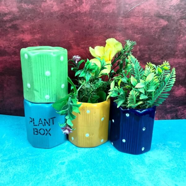 hexa-design-khurja-pottery-ceramic-succulent-pots-SK1020