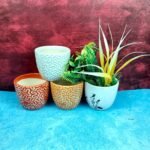 multicolor-khurja-pottery-ceramic-succulents-pots-SK1038