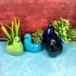 duck-shape-khurja-pottery-garden-ceramic-pots-SK1045