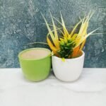 shop-plain-round-khurja-ceramic-indoor-planters-ST8304