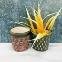 Buy Multicolor Table Top Khurja Ceramic Succulent Pots - KC8140