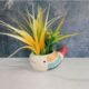 Multicolor Fish Design Khurja Ceramic Indoor Pots-ST8213