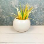 DPAARA White Indoor Ball Shape Ceramic Planters-DRH1064