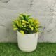 Khurja Pottery Indoor White Ceramic Planter Pot - SK3503