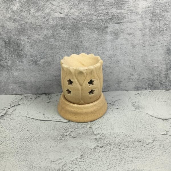 Khurja Pottery Cutting Design Ceramic Diffusers-sd5018