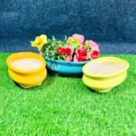 Multicolor Khurja Pottery Ceramic Bonsai Planters-RH1205