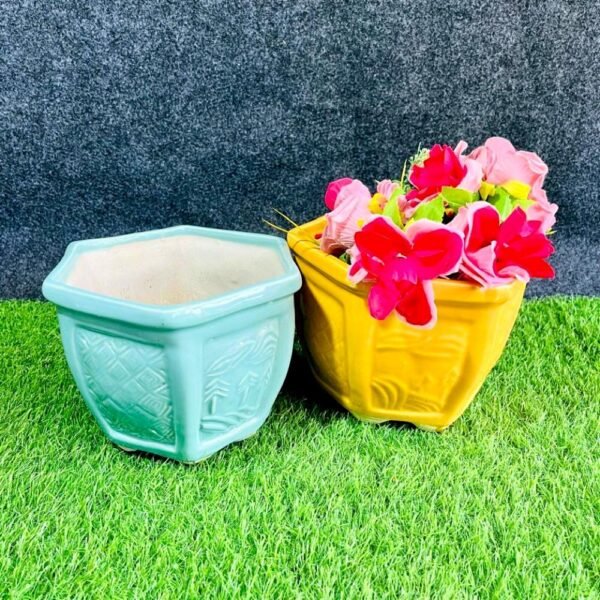 Hexa Shape Khurja Ceramic Indoor Planters Pot-RH1223