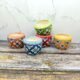 Multicolor Khurja Ceramic Succulent Planters-AA7018