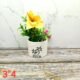 Leaf Design Pipe Succulent Ceramic Pots-AA7032