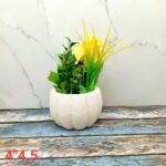 White Khurja Ceramic Indoor Planters Pot-AA7040