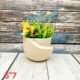 Elegant Shape Indoor Ceramic Planters-AA7098