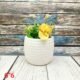 White Khurja Ceramic Indoor Planters Pot-AA7113