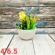 White Bowl Shape Ceramic Planters Pot-AA7137