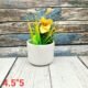 White Plain Round Ceramic Planters Pot-AA7147