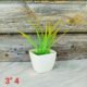 Tapper Chokor Ceramic Succulent Pots-ST8514