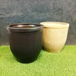Line Design Border Khurja Ceramic Pots-ST8571