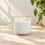 Small Smooth White Rounded Ceramic Pot - Image 2