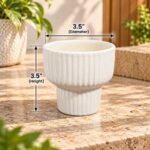 Assorted Color Ribbed Ceramic Pot Set
