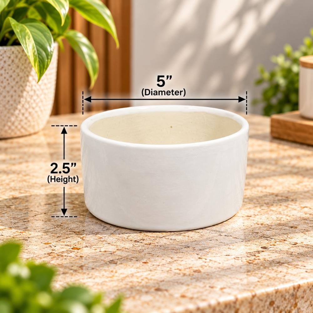 aap-025-medium-white-low-bowl-ceramic-planter-lifestyle-1 Medium White Low Bowl Ceramic Planter - Image 1
