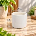Small Plain White Cylinder Ceramic Pot