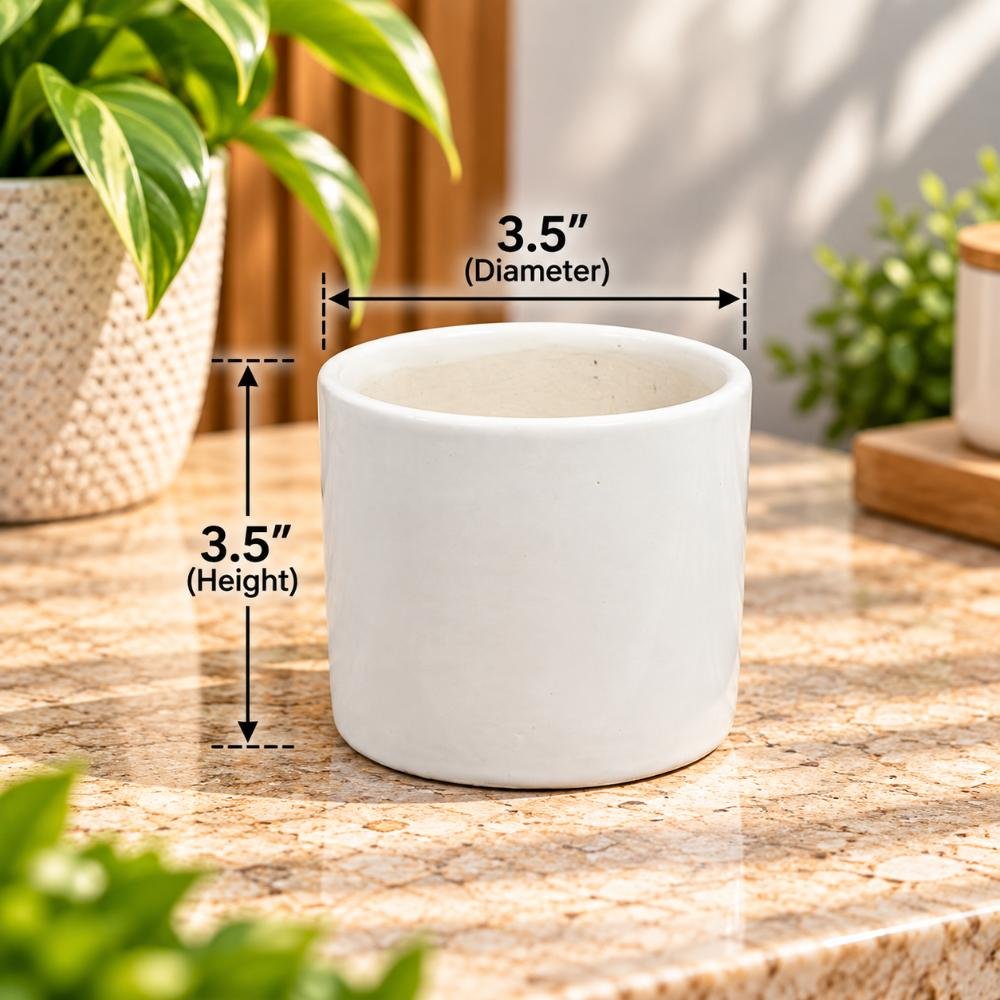 aap-026-small-plain-white-cylinder-ceramic-pot-lifestyle-1 Small Plain White Cylinder Ceramic Pot - Image 1