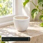 Small Plain White Rounded Ceramic Pot - Image 2